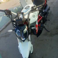 بنلی310