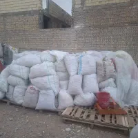 نا خشک دامی