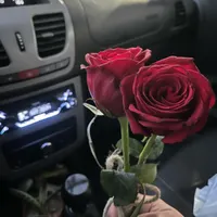 کوییک دنده‌ای ساده، مدل ۱۳۹۹|خودرو سواری و وانت|پاکدشت, |دیوار