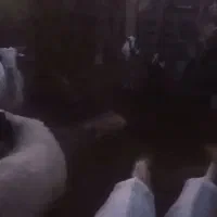 بزه کهر