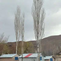 اجاره کلبه شبانه و ساعتی