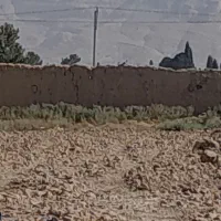 فروش-زمین-باغی