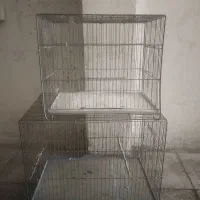 قفس پرنده