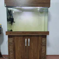 آکواریوم شیشه خم