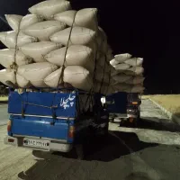 فروش کاه تازه امسال