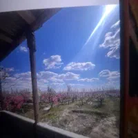 باغ 1200 متری