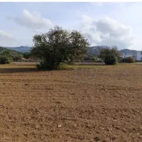 فروش-زمین-مسکونی