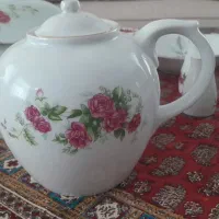 ظروف|ظروف سرو و پذیرایی|آمل, |دیوار