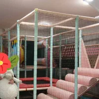 مربی پیش ۱ ، کار آموز  ، خدمه
