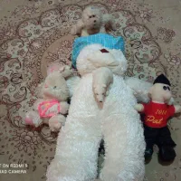 6عروسک