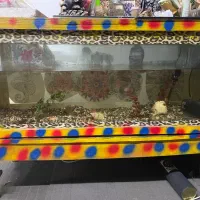 اکفاریوم و اتاریوم