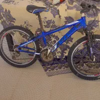 دوچرخه ویوا سایز ۲۴