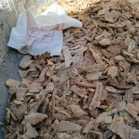 نان خشک یک تن
