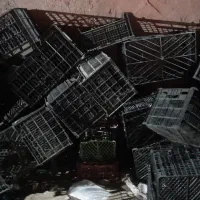سبد