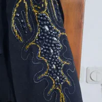 پالتو مجلسی