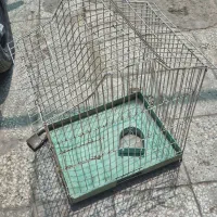قفس پرنده