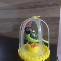 طوطی روباتیک