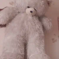 شاسخین بزرگ سفید رنگ