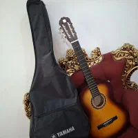 گیتار همراه با کیفش