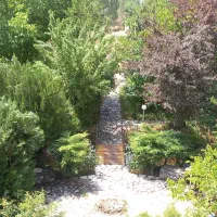 خریدار ملک شما با قیمت کارشناسی