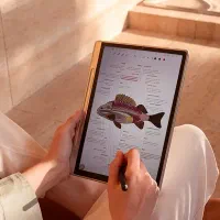 Xp pen Magic note pad|تبلت|پرند, فاز ۲|دیوار