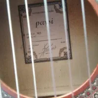 گیتار پارسی M3