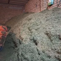 علوفه خرمنکوب چین آخر