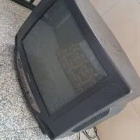 تلوزیون