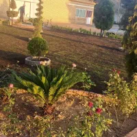 باغبانی و کاشت درخت، گل وگیاه ،هرس