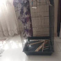 قفس بزرگ پرنده