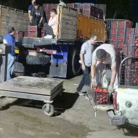 انگورگیلاس هلو خربزه گوجه محصولات کشاورزی