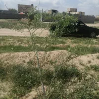 زمین-فروشی-در-رسالت-کشمیری-روستای-قصر