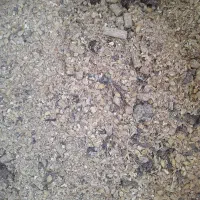 کنسانتره شیری و پرواری