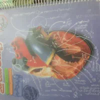 کتاب تست زیست شناسی دهم خیلی سبز
