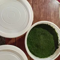 خوردنی|خوردنی و آشامیدنی|ماسال, |دیوار