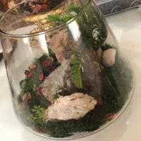 تراریوم مصنوعی تنگ بزرگ