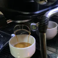 نیازمنده همکار مبتدی یا ماهر