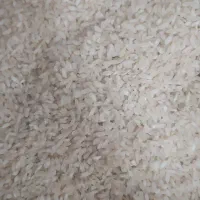 برنج لنجان خالص و درجه یک