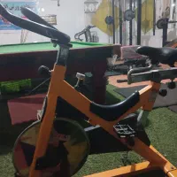 باشگاه بدنسازی