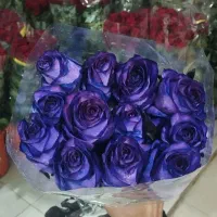 ۲۰ شاخه رز هلندی ۸۵۰
