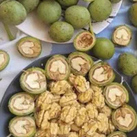 گردوی پوست کاغذی تویسرکان