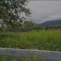 700مترزمین نصف مسکونی نصف باغی،حاجی بکنده،جیرکویه