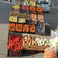 پالت میوه