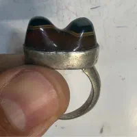 انگشتر باباقوری دو کوهانه