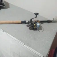 لنسر و چرخک