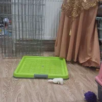 پارک وسینی ادرار سگ