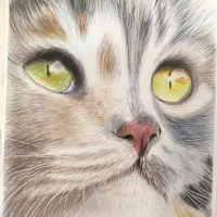 نقاشی و طراحی هایپر رئال