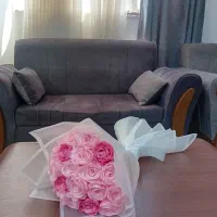 شاخه ای ۲۳ تومن ربانی