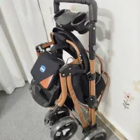 کالسکه دلیجان نو