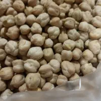 نخود تازه